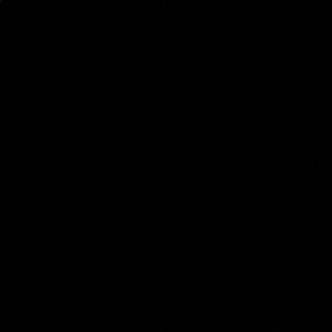 Meet your Posher, Nargis